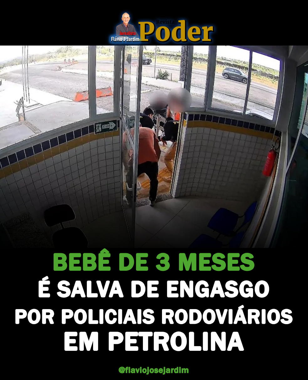 revista